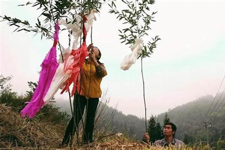 清明挂清一般挂几束