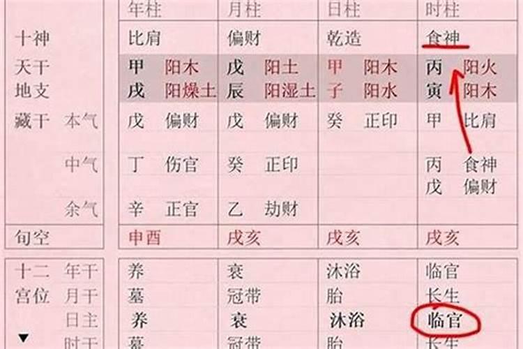 什么是八字中食神怎么查？