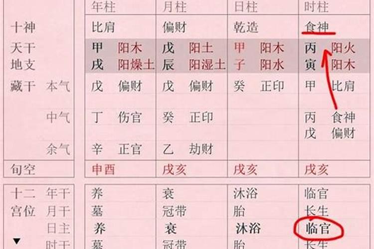 食神坐食神