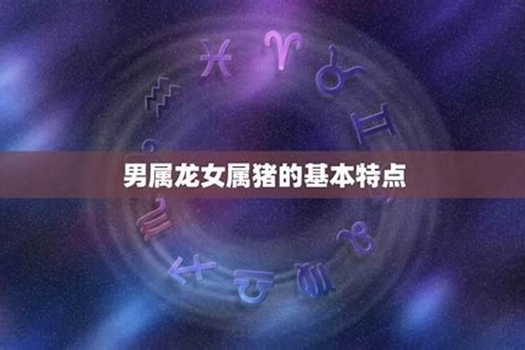 男龙女猪婚姻是否相配
