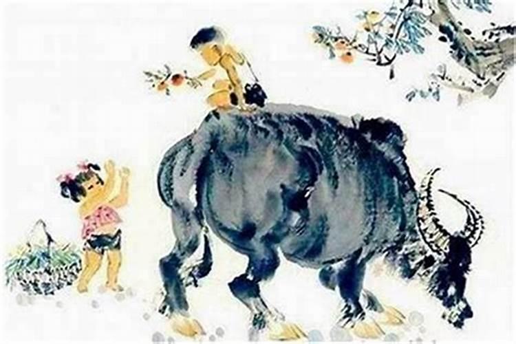 生肖猪什么月份出生最好 属猪人出生月命运？