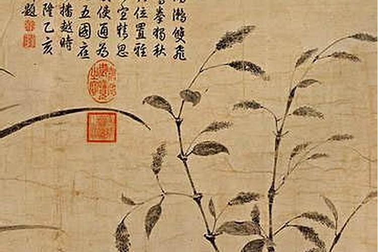 74年阳历2月生的到底是属虎还是属牛。