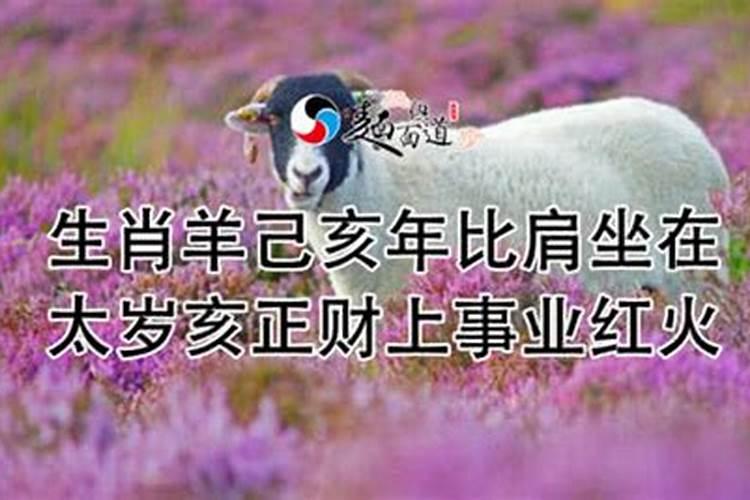 丙寅年辛丑月丙子日己亥时 男 八字怎么样？什么时候能结婚？