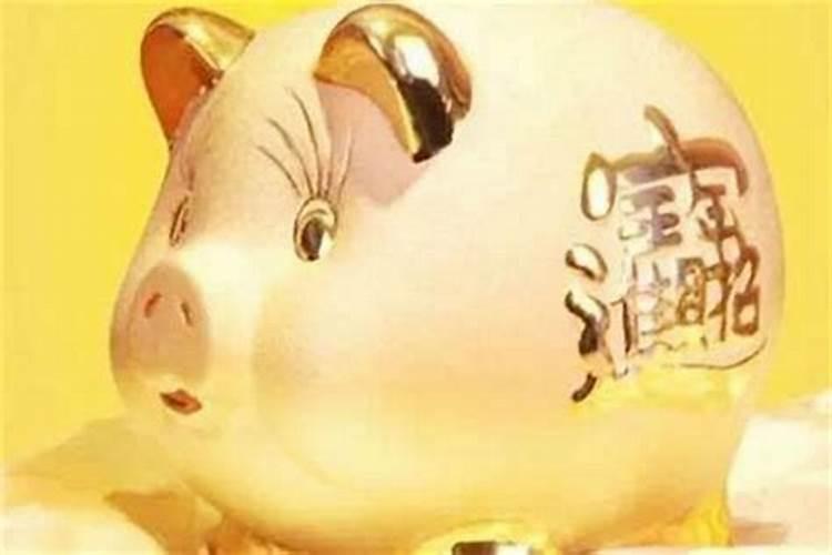 为什么七月的猪是犯月属猪几月是犯月