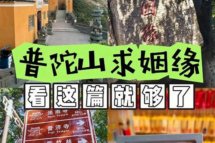 什么属相的宝宝好