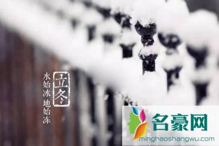 2025属鼠全年运势1984年