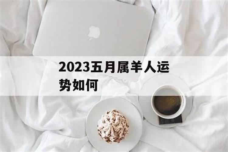 哪个月属羊的好