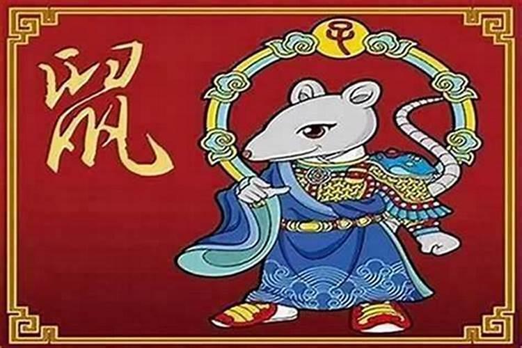 属猪的犯太岁佩戴什么