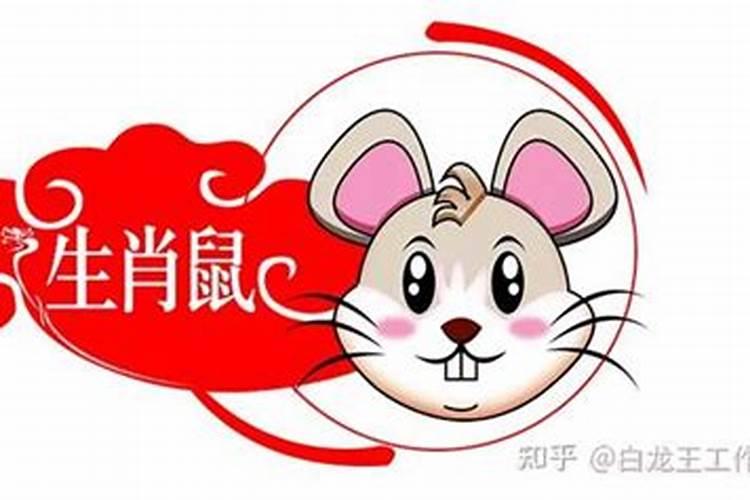 属兔人2025年综合运势