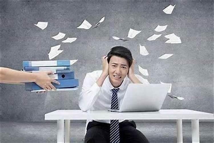 梦见白色老虎跟着回家的预兆