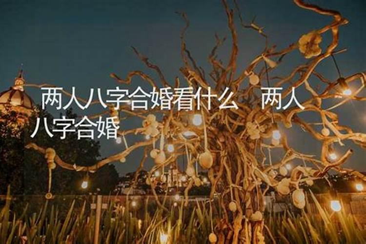 68年猴2025年运势如何