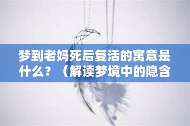 狗与猪合不合
