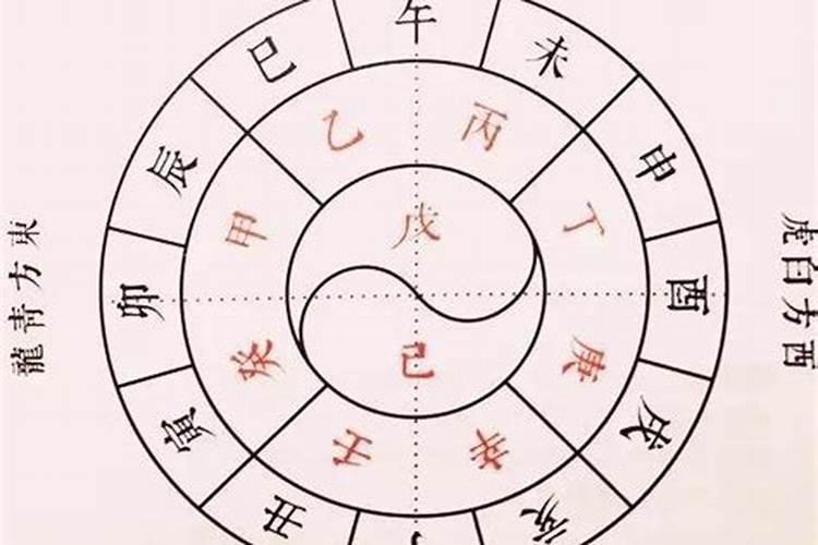 猪年属龙人的运势,生肖属龙人婚姻性格财运事业运势大全篇