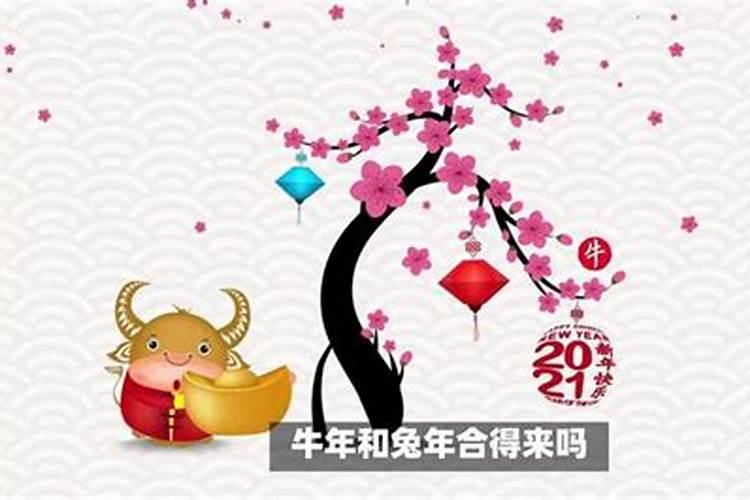 八字合婚相刑 只有一合？