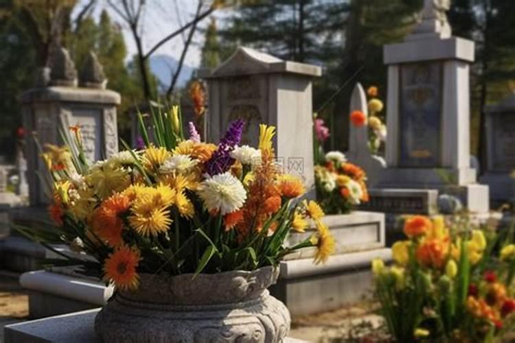 给老人上坟买几朵花(去坟前祭奠老人摆花买什么鲜花)
