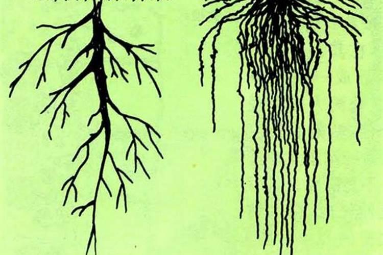 1972年腊月十八五行啥命什么颜色对我好