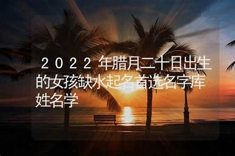 立春前一天出生属相怎么算,立春前一天生日干支怎么算