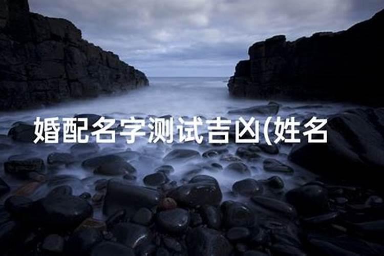 公司起名怎么查询