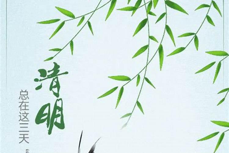 清明节为什么是按阳历计算