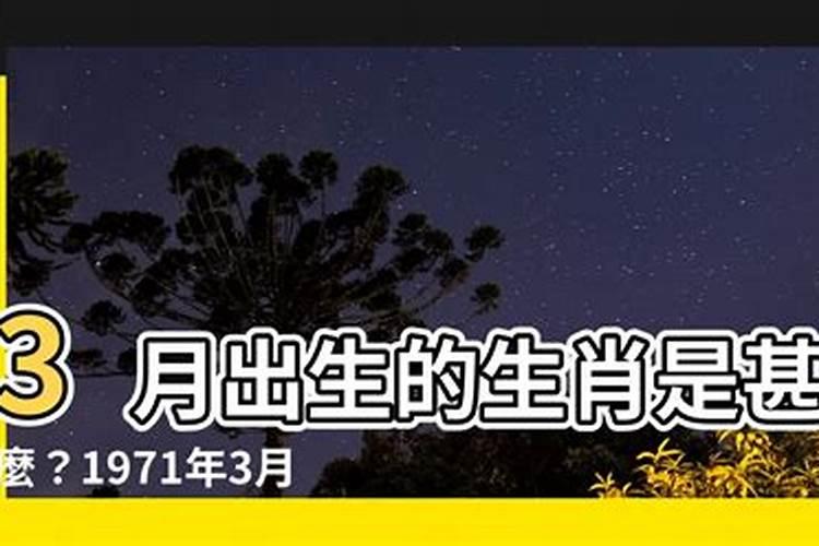 属猪人农历三月运势,1971年农历3月19日戌时出生属猪人的运势