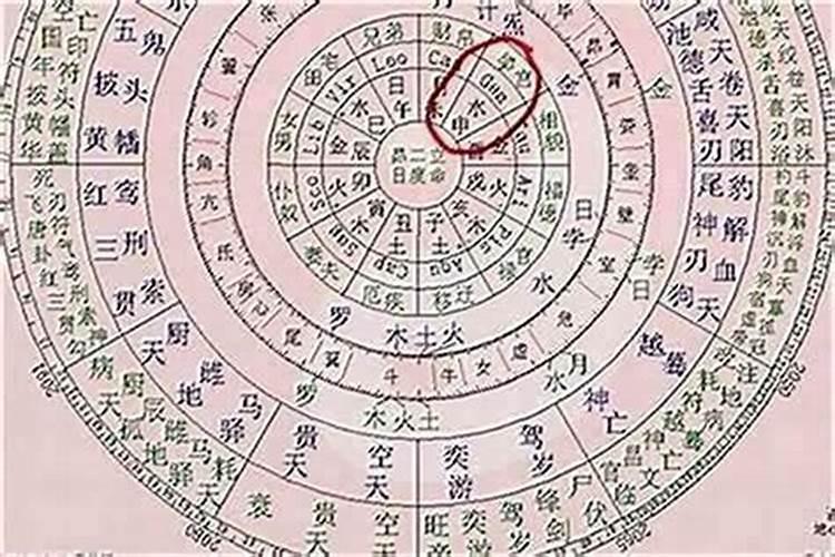 1983年属猪人2025年运势及运程