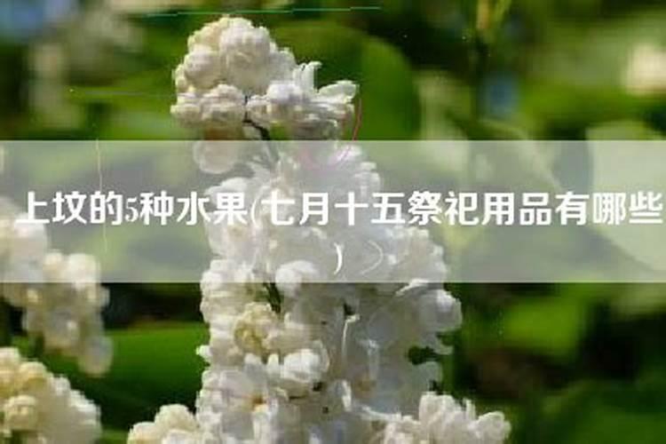 七月十五上坟拿什么水果