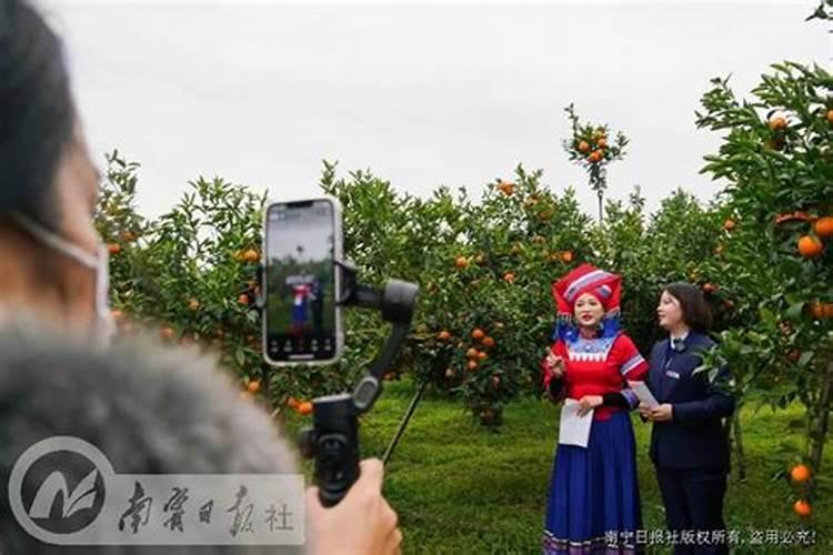给老人上坟买几朵花(去坟前祭奠老人摆花买什么鲜花)