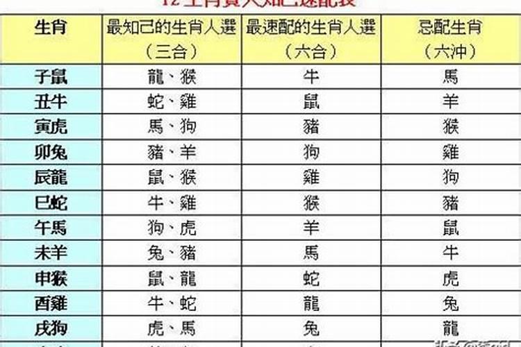 真童子一般多少人
