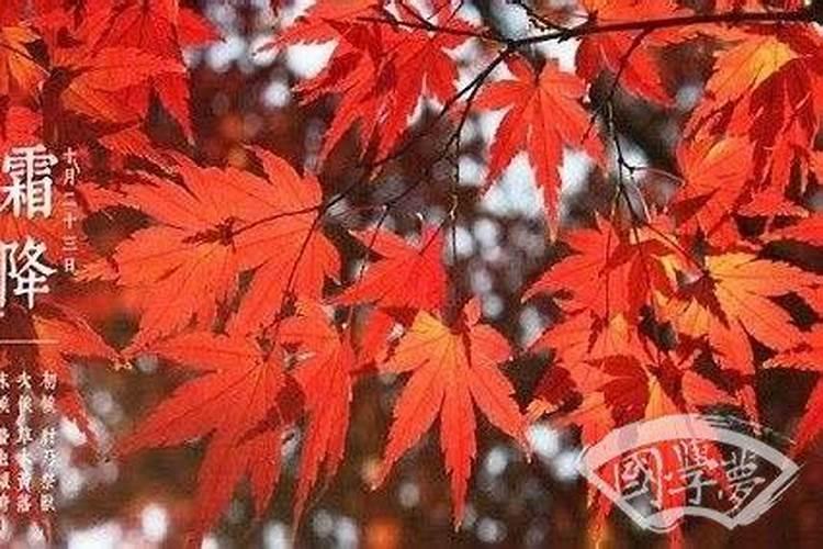 七夕节是什么时候