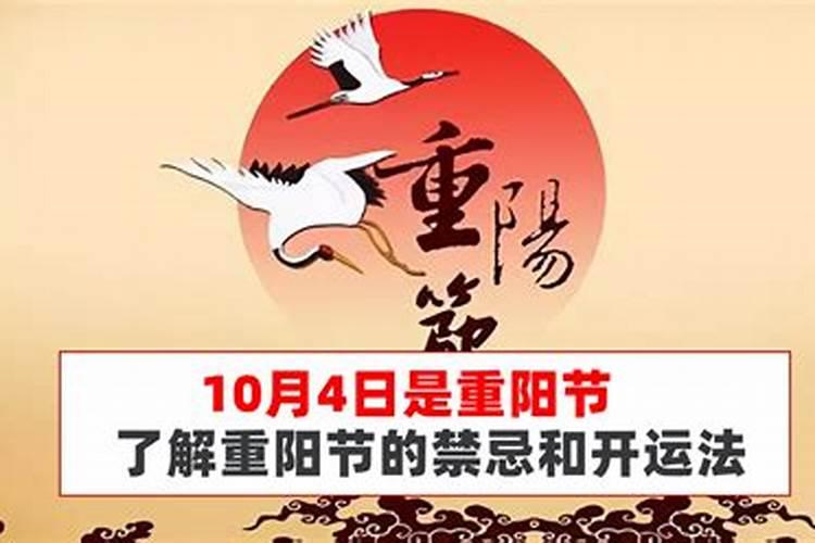 81年属鸡男2025年每月运势及运程详解