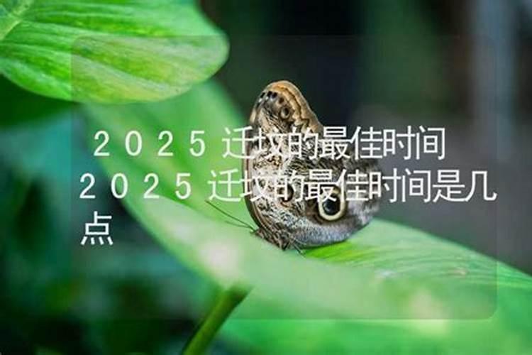 清明节前要去新坟挂什么