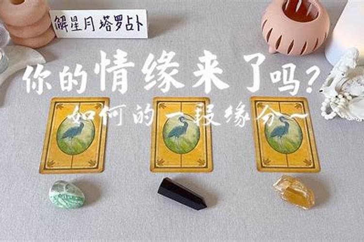 算卦抽牌都有什么,塔罗牌占卜姻缘