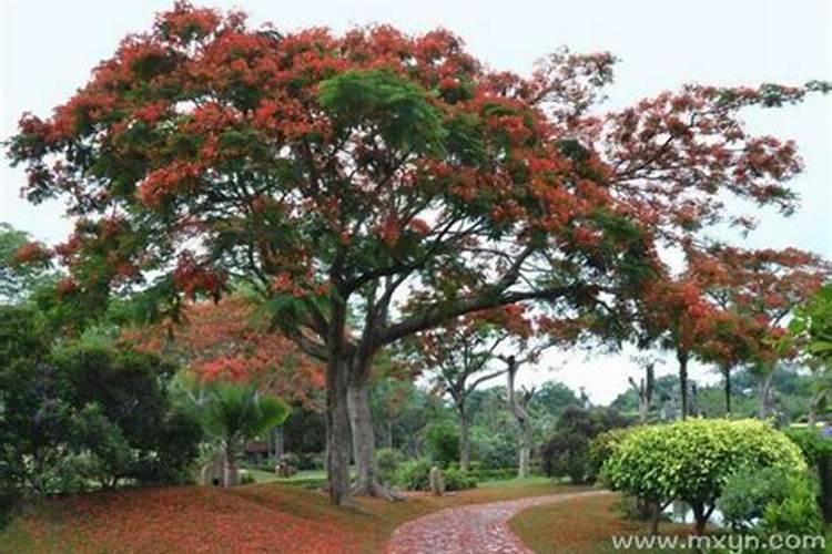 清明节廊坊周边自驾游 春节廊坊周边自驾游