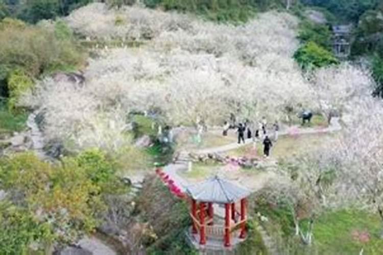 汉中的著名旅游景点有什么