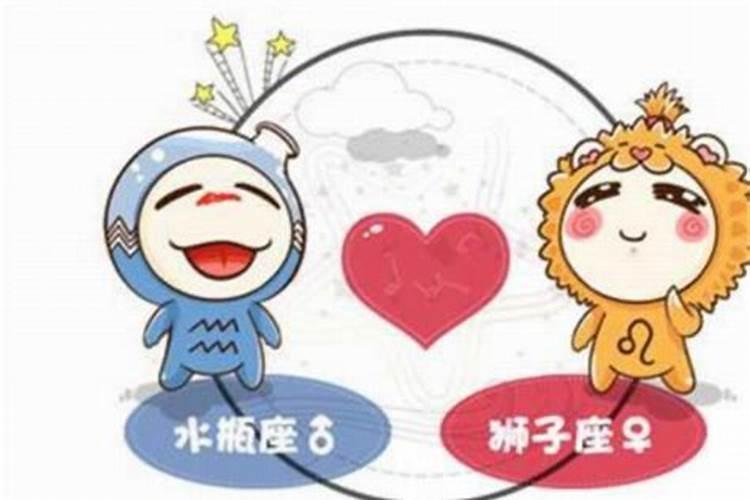 小年北是什么生肖