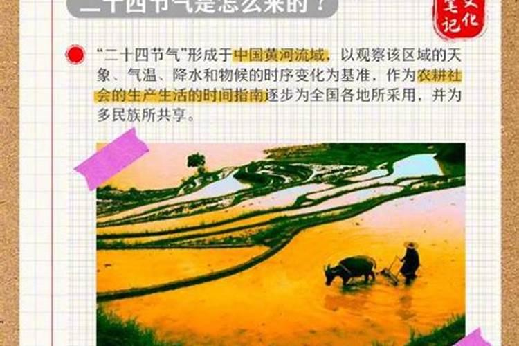 冬至为什么要吃饺子？这一天吃原来有这么多好处