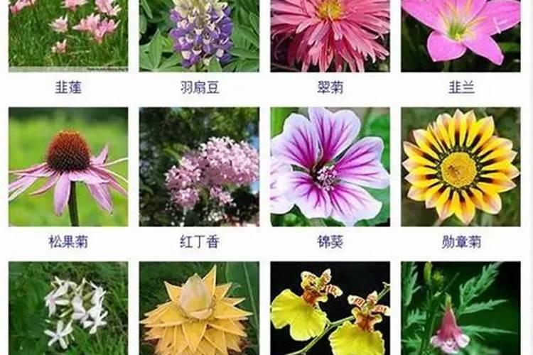 八字测适合什么事业