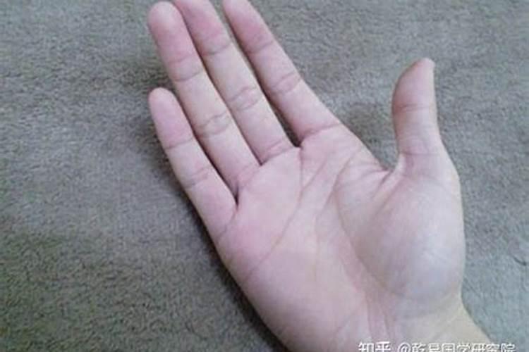 无名指长与运势关系