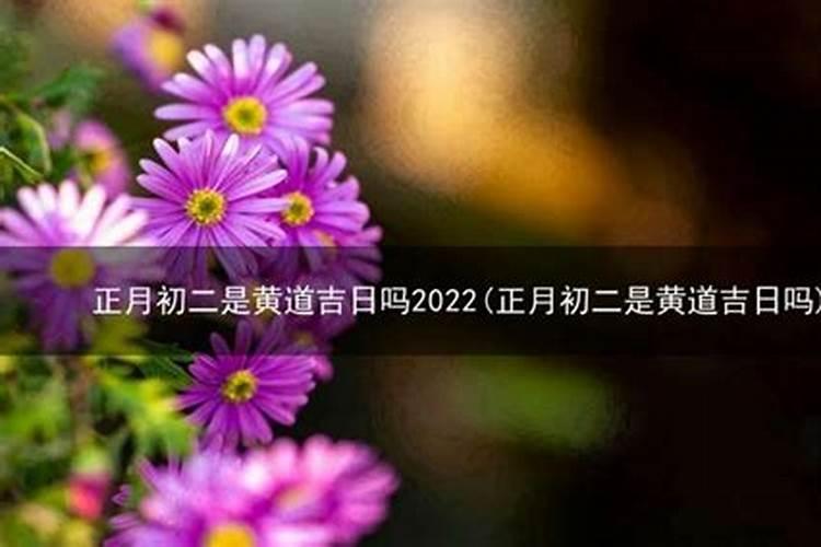 农历1991大年初二生的新历是几月几号