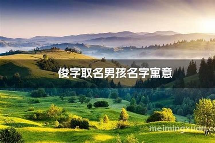 俊字取名男孩名字大全(891个)