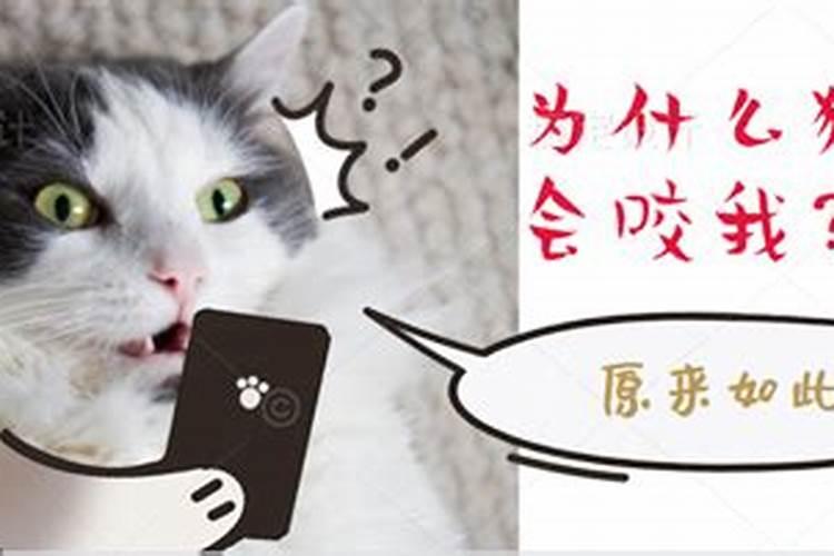 易学堂:如何从生辰八字看命好不好