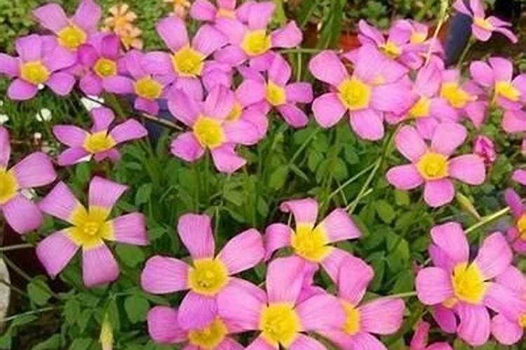 元宵节的童谣有哪些？