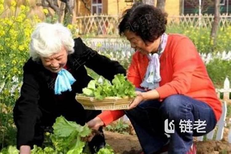 属马男人和属马女人相配吗
