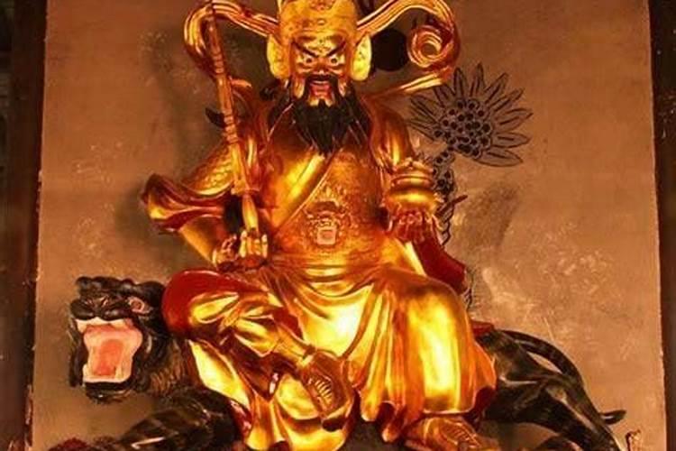 冬至送什么水果比较好