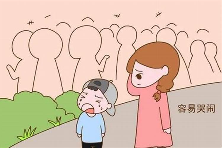 属马的今年多大了