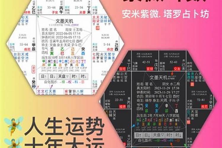 我是90年农历12月30日出生的是属马还是属羊啊