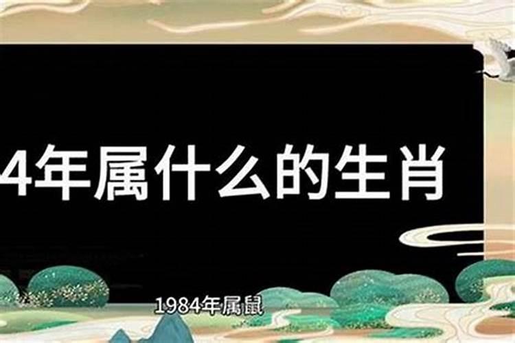 1984年女生金命与1985年男生金命和不和