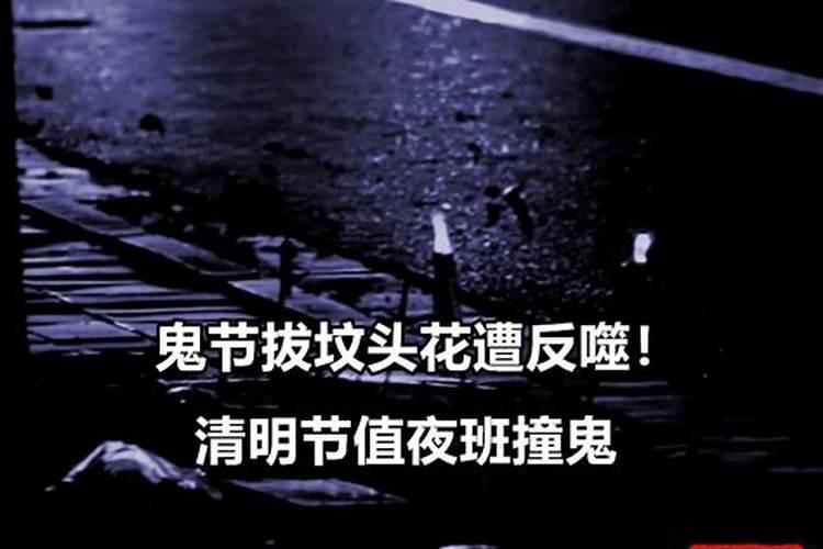 男鼠女虎属相婚配好吗
