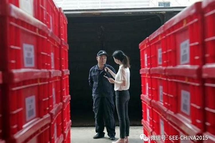 押运员需要什么证