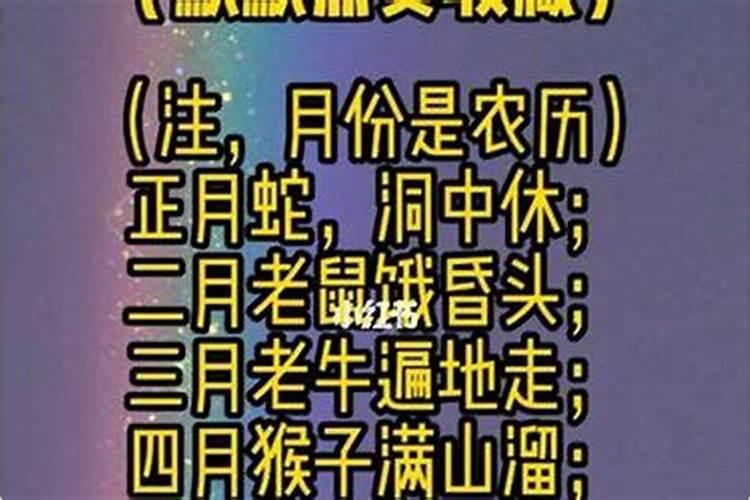 2025年犯太岁最严重的是几月